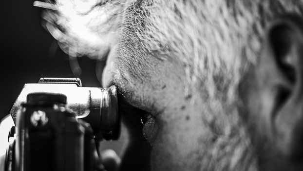 Félins_Noir_sur_Blanc_6